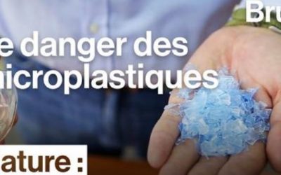MICRO PLASTIQUES